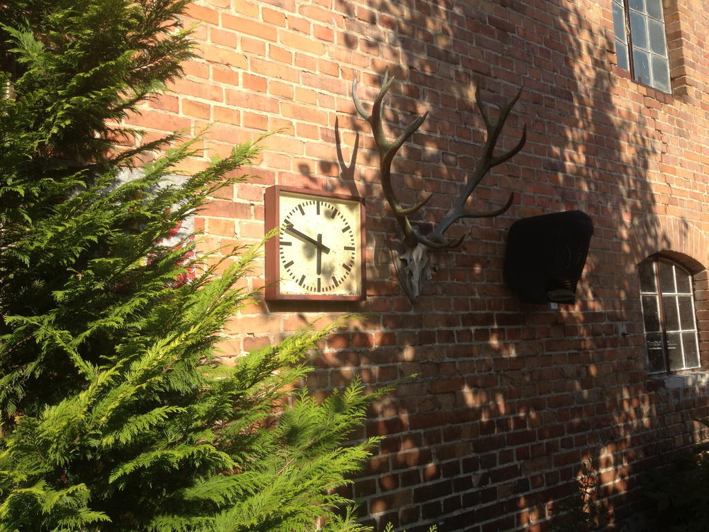 Pension Kunsthof Dahrenstedt Exteriör bild
